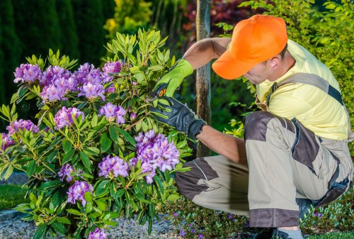 Mechanic inspecting garden machinery for safety