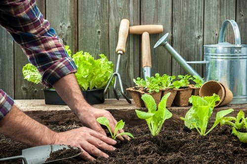 Garden maintenance team performing seasonal tasks