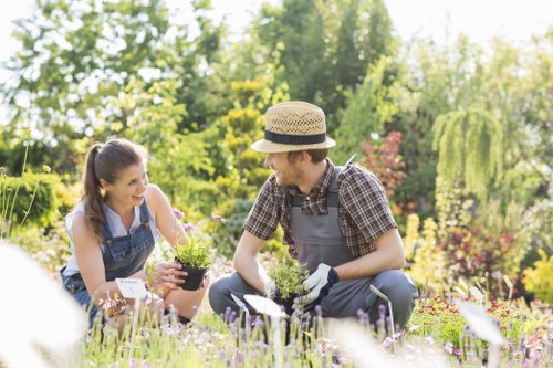Inspection of a garden area showing lawn and border details for assessment